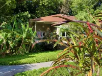 Hawaiian Chic Crater Retreat- a tropical jungle escape in a secluded crater