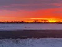 Cozy cottage that allows for pets, the experience of outdoors, and the big city! Hotels in Springfield Township