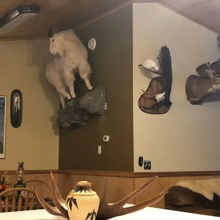 Alaskan sportsman’s Home