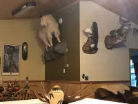 Alaskan sportsman’s Home