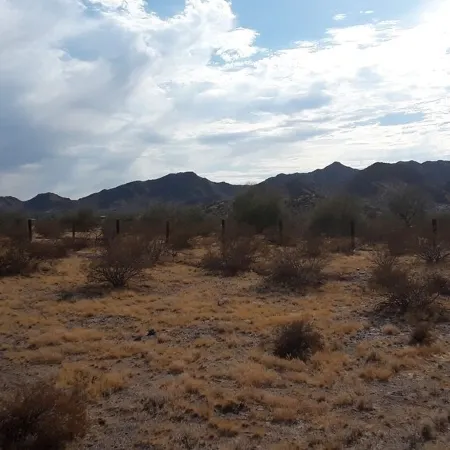 BOTTLE & GLASS INN, a quite remote retreat on a 10 acre spread. Stargazing here.