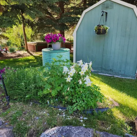 Top-notch comforts in a rural setting in Woody Creek on the River/close to Aspen