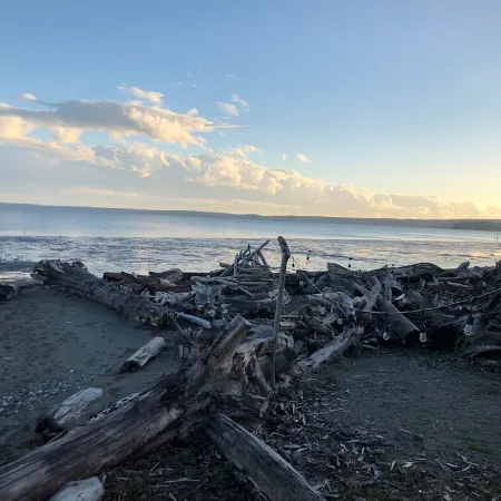 Camano Island Retreat