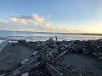 Camano Island Retreat