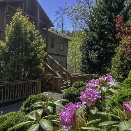 New Luxury Smoky Mountain Country Club Condo, Garage, Washer & Dryer, View!!
