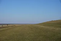 Small but nice!!!