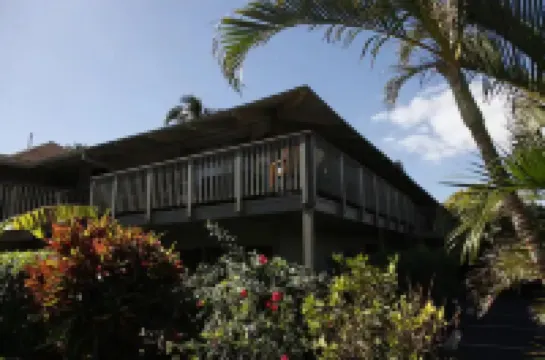 Tracy's Tropical Treasures earned "Best in Kihei" four times and 1 in Maui”