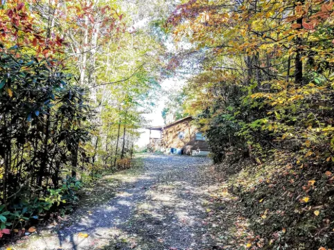 STUNNING VIEWS YEAR ROUND! Log Cabin, Hot Tub, Fireplace, Fire Pit, Private