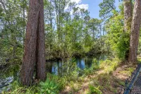 La Niña 5 minutes to Nokomis Beach. Fenced in Yard Pet-Friendly!