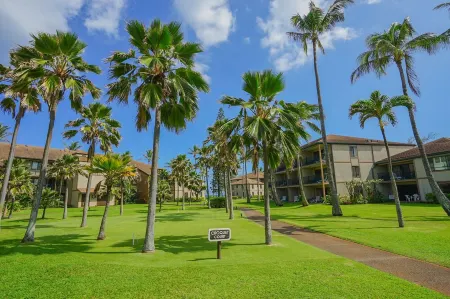 Recently Updated Beachfront Oceanfront Condo! Walk to Old Town Kapa'a