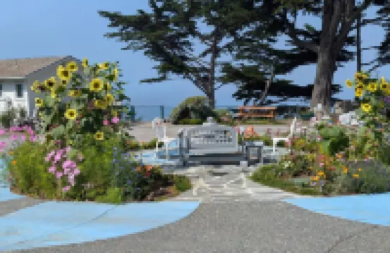 Sparkling Clean, Private & Quiet! Amazing Ocean Views [4]