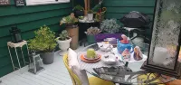 帽子上的貓~喵喵~鄉村別墅 五星🌟🌟🌟🌟🌟😻住宿