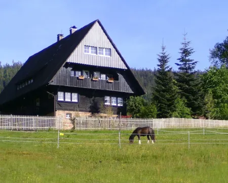 Apartment Hüttenzauber in Idyllic Forester's Lodge, Family-Friendly, Dogs Welcome Hotels in Forbach