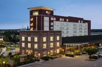 Aloft Wilmington at Coastline Center Hotel in zona UNCW Soaring Seahawk Sculpture