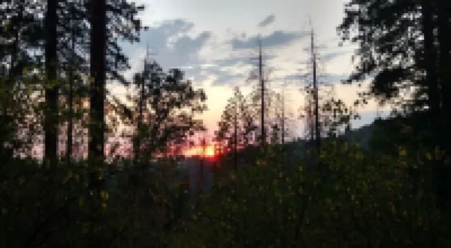 Ponderosa Cabin ~ rustic comfort + WiFi by Sequoia & Kings Canyon National Parks