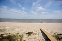 "No Pressure"  Beautiful beach front home