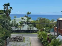 1 Bdrm w/ocean view in Kona.Walk to Turtle Beach,Ali'i Gardens Mkt&Kona Trolley