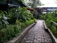 Rainforest Eco Lodge