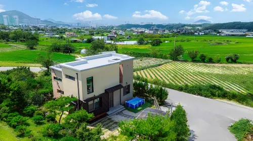 春川Stay 266