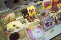 石垣島度假村飯店 石垣島住宿飯店