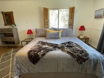 Vingarage Atelier-Views-Privacy-Xtra Pet Acres Available