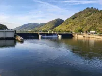 Holiday on the Moselle in the Weinberg holiday apartment in Zell (Moselle) Hotels in Zell