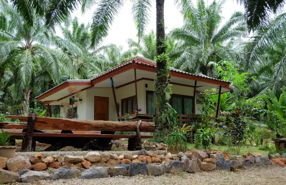 通棕櫚農場旅館