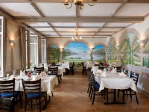 Jungfrau Hotel Hotels in Wilderswil