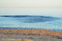 Tiwi Sunrise Các khách sạn ở Tiwi