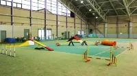 Angel Forrest Shirakawakougen Các khách sạn ở Tenei