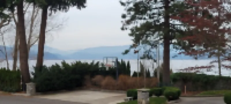 Coeur d'Alene's Famous Lakeshore Cottage Next to Sander's Beach and Tubb's Hill!