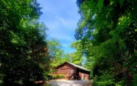 Peaceful Treetop Getaway Near Blue Ridge & Ellijay