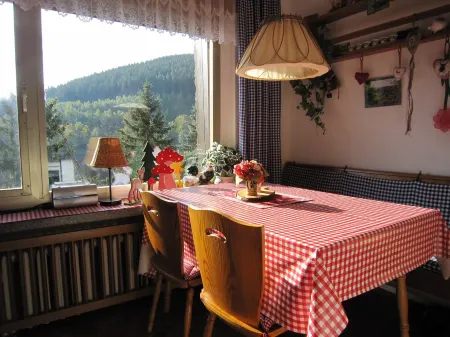 On the edge of the forest with a beautiful panoramic view of 2 valleys