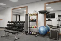 Hampton Inn & Suites Williston - Gym