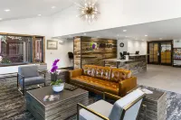 Torian Plum Plaza 507