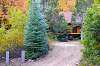 The Hideaway Concealed Cabin @ East Zion & Bryce Hotels in Kane County
