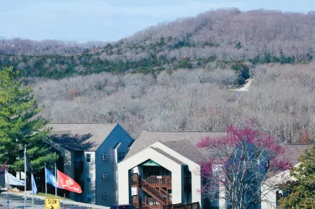 Branson Condo Near Silver Dollar City