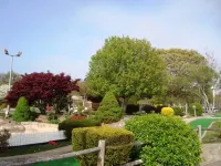 Spacious Fenced Yard and Short Walk to Beach - Charming Coastal Haven