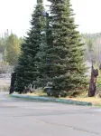 The Woodsman Country Lodge Hotels in Klamath County