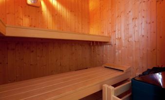 Modern Apartment in Bolsdorf with Sauna - Housity