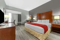 Comfort Inn Kearney I-80 Hotels in Collins