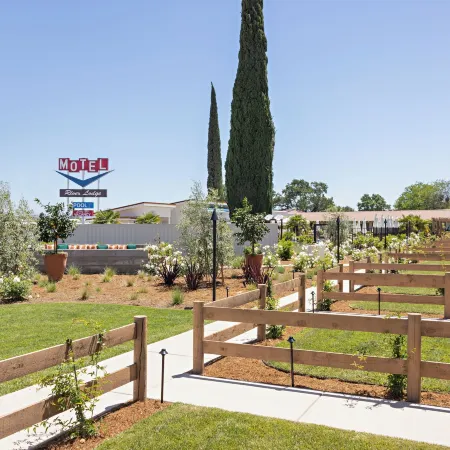 River Lodge Paso - 21 & over Pool