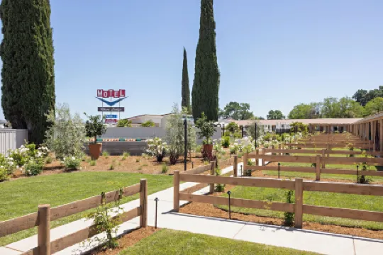 River Lodge Paso - 21 & over Pool