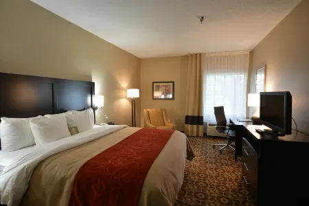 Comfort Inn & Suites Trussville I-59 Exit 141