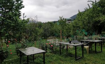 Madpackers Manali