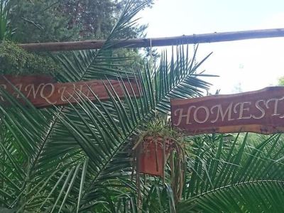 Tranquil Homestay