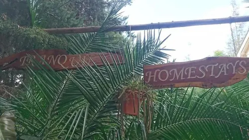 Tranquil Homestay Hotels in Naro Moru