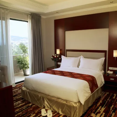 達瑪特酒店 鄰近Salem's Ethiopia的酒店