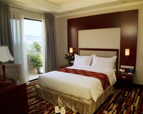 Daamat Hotel Hotels near Bole