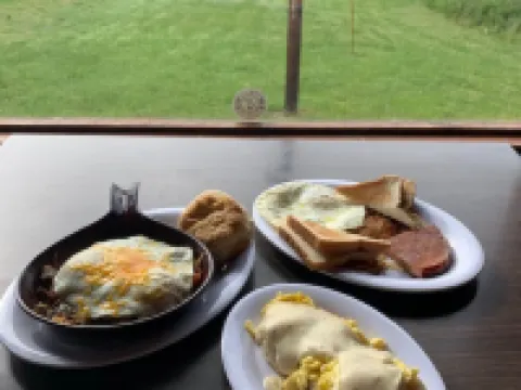 Oak Ridge Motel Hotels in Quitman